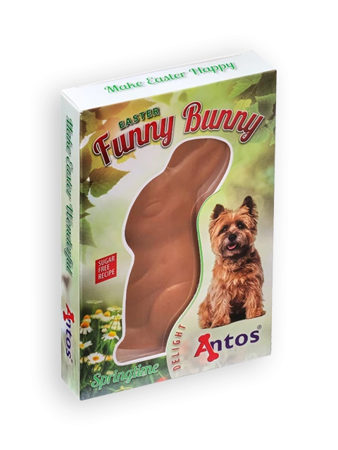 El divertido conejo de Pascua