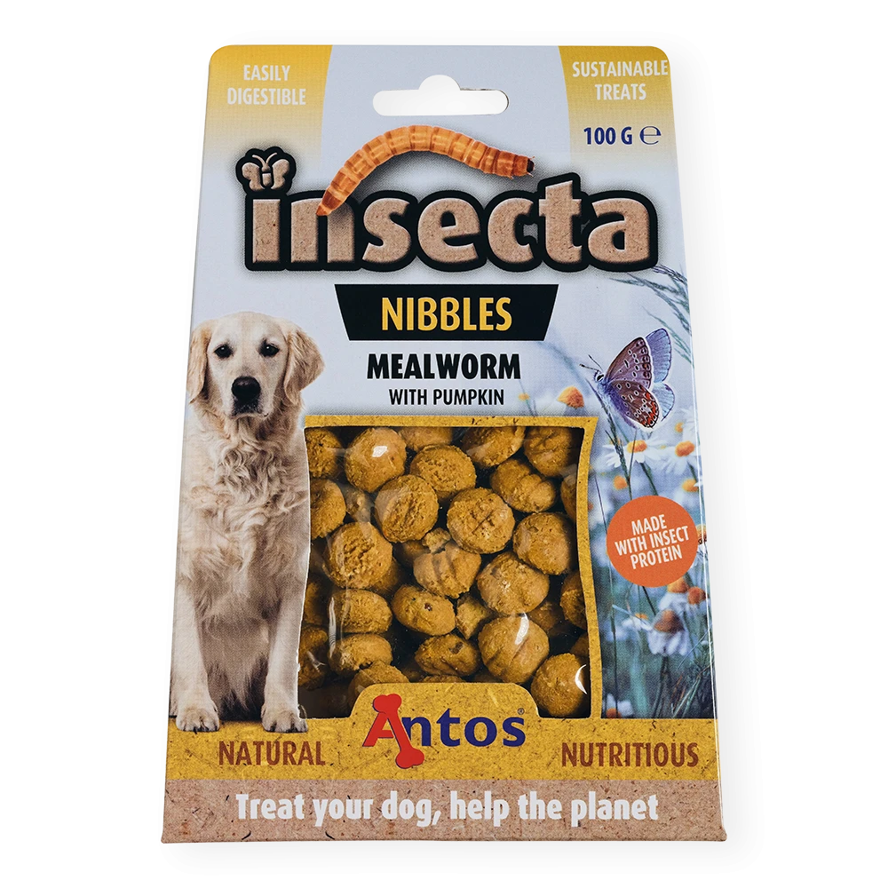 Insecta Nibbles Gusano de Harina & Calabaza 100 gr