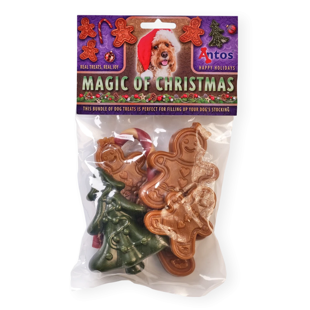 Magia de Navidad 6 piezas