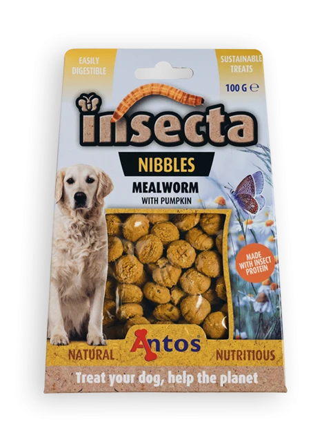 Insecta Nibbles Gusano de Harina & Calabaza 100 gr