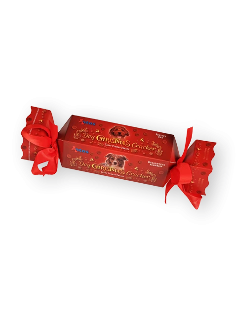 Galleta de Navidad para perros