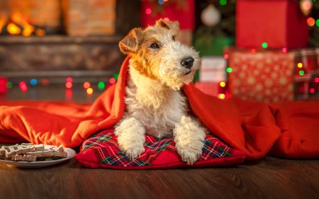 Deliciosos aperitivos para el árbol de Navidad