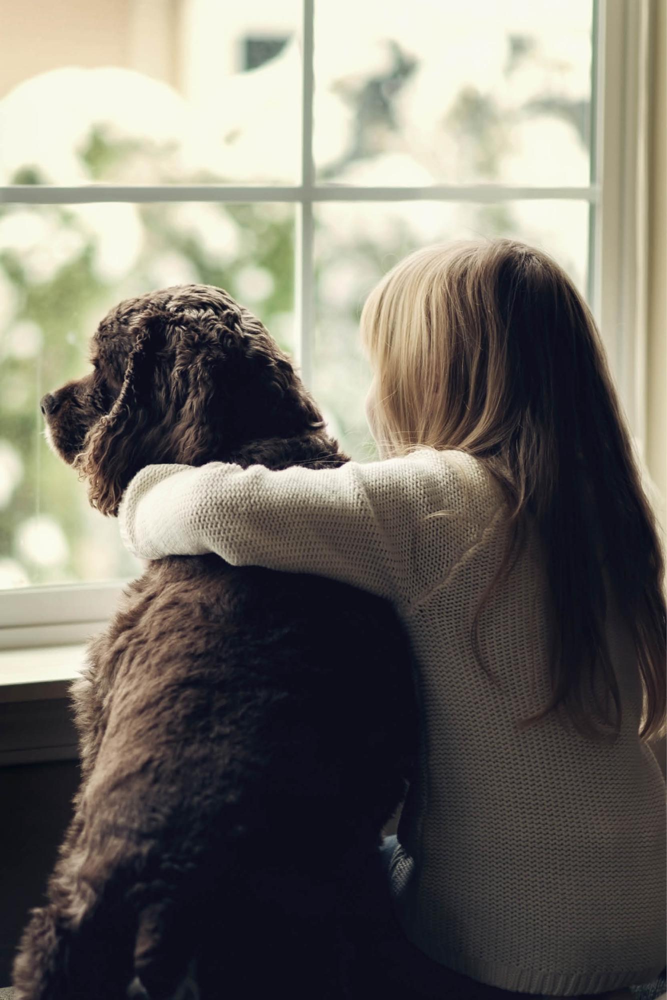 Nos gustan los perros Nos gustan los perros