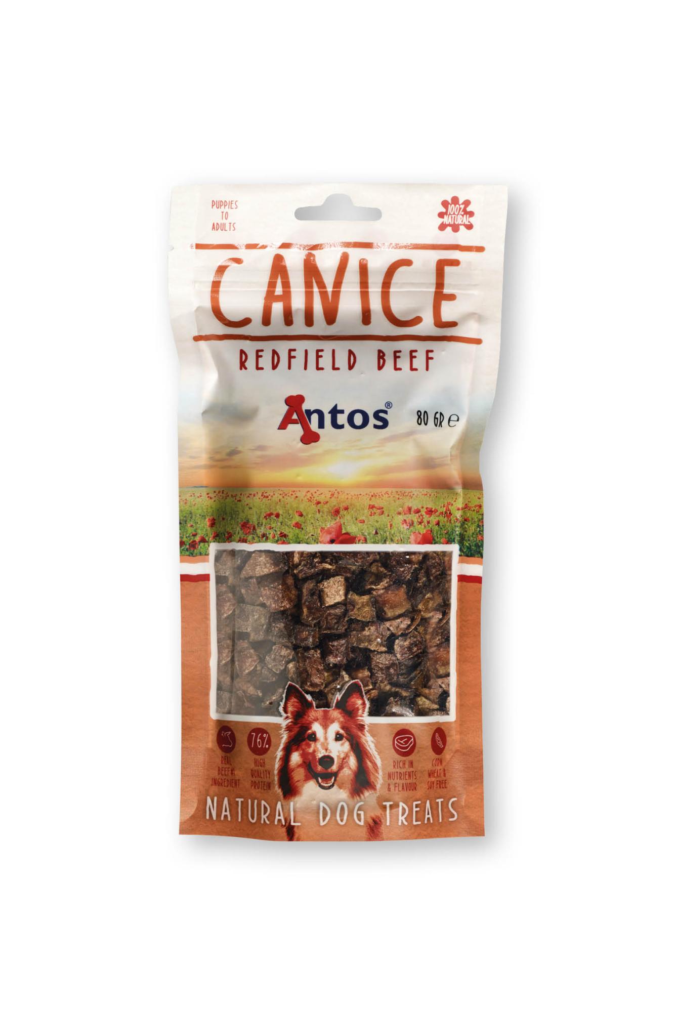 Canice Buey Canice Buey
