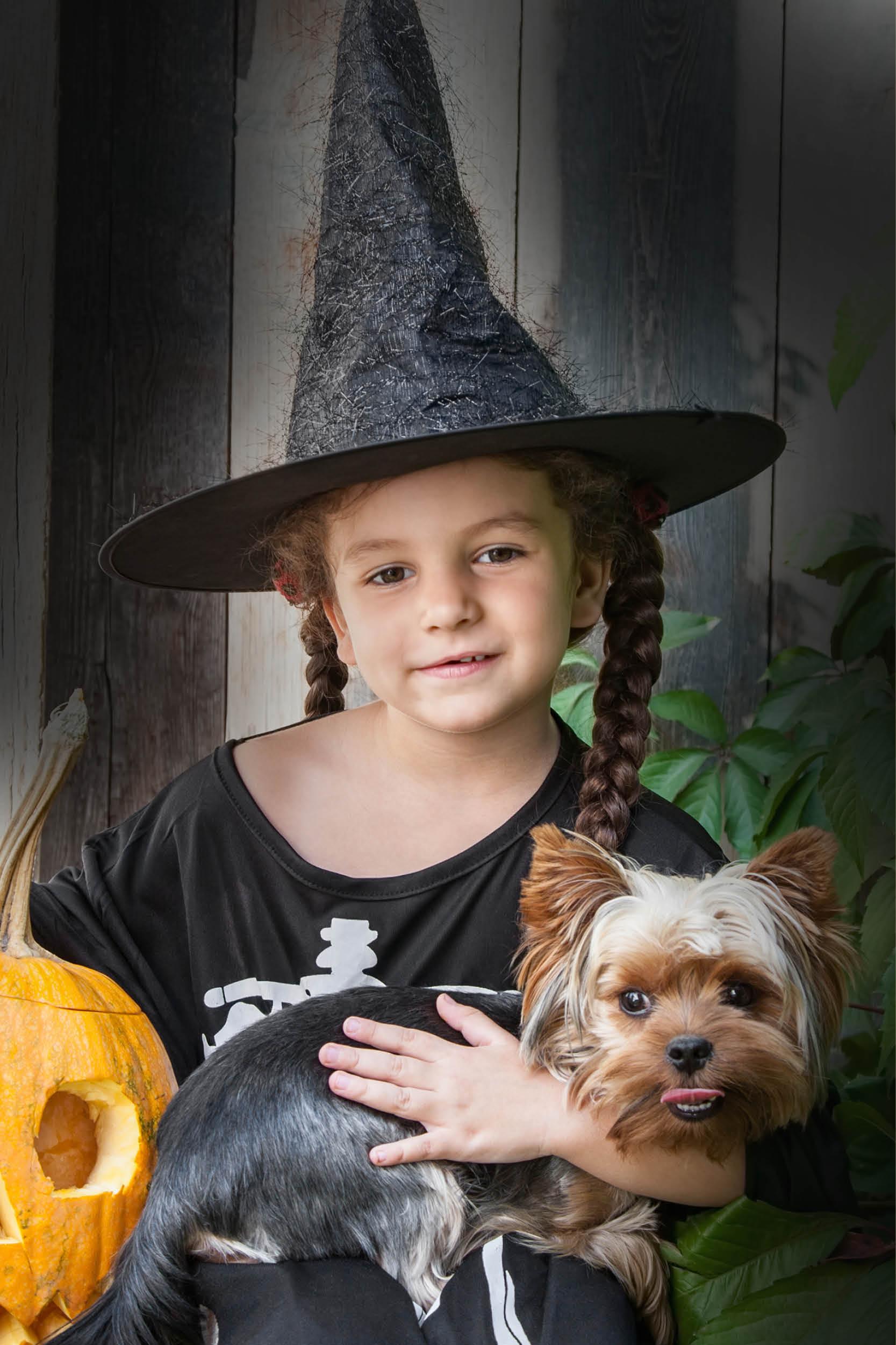 ¡Mima a tu perro durante Halloween! ¡Mima a tu perro durante Halloween!