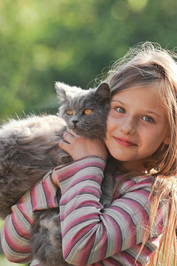 Nos gustan los gatos Nos gustan los gatos