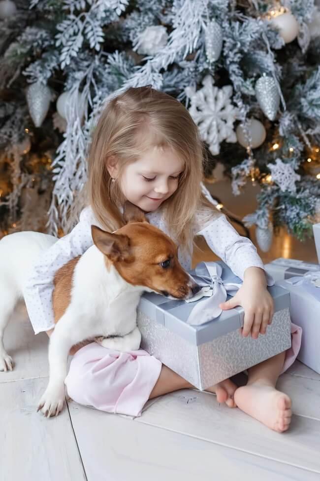 Abre la alegría esta Navidad Abre la alegría esta Navidad
