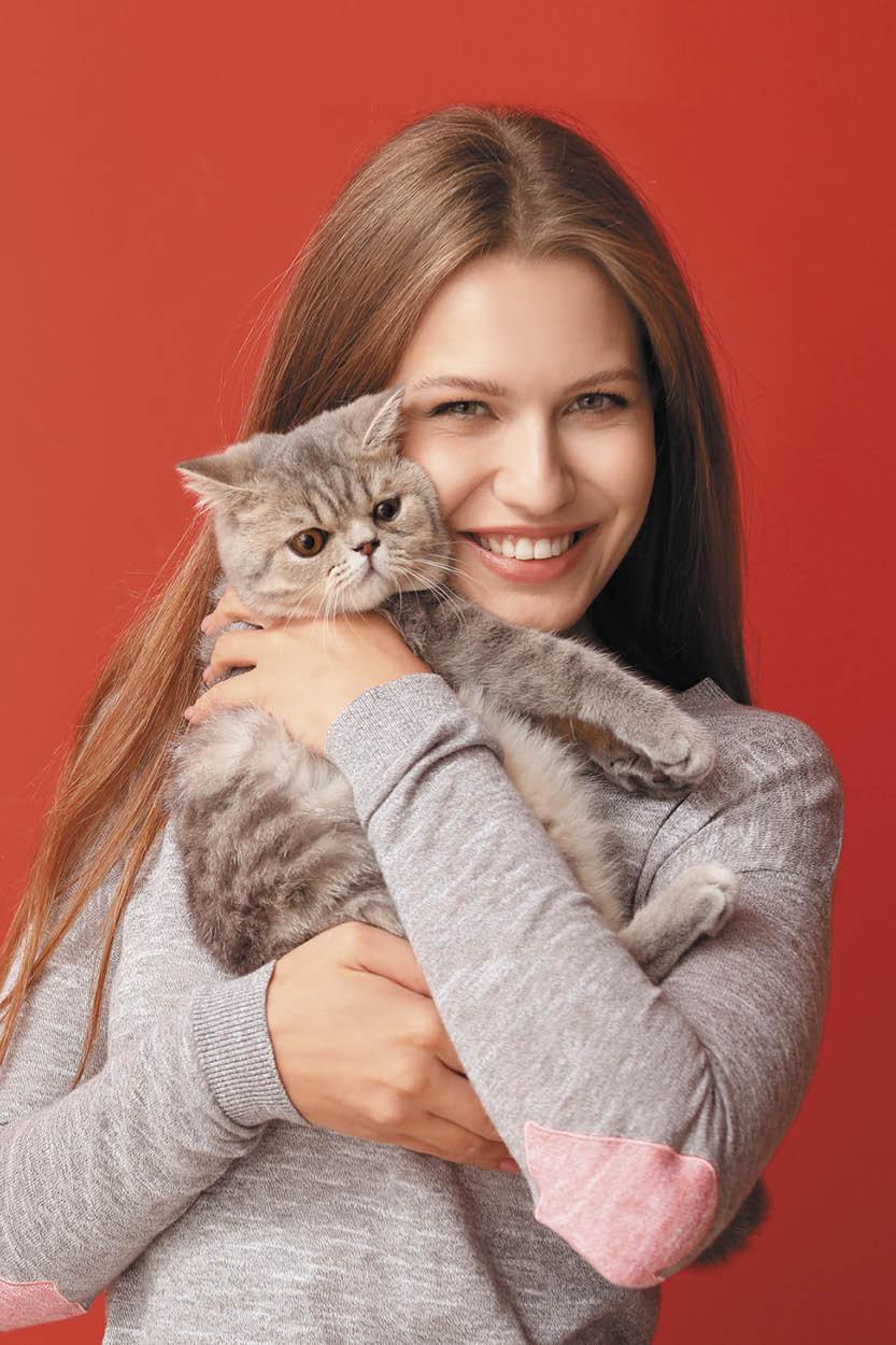 Delicias para gatos Delicias para gatos