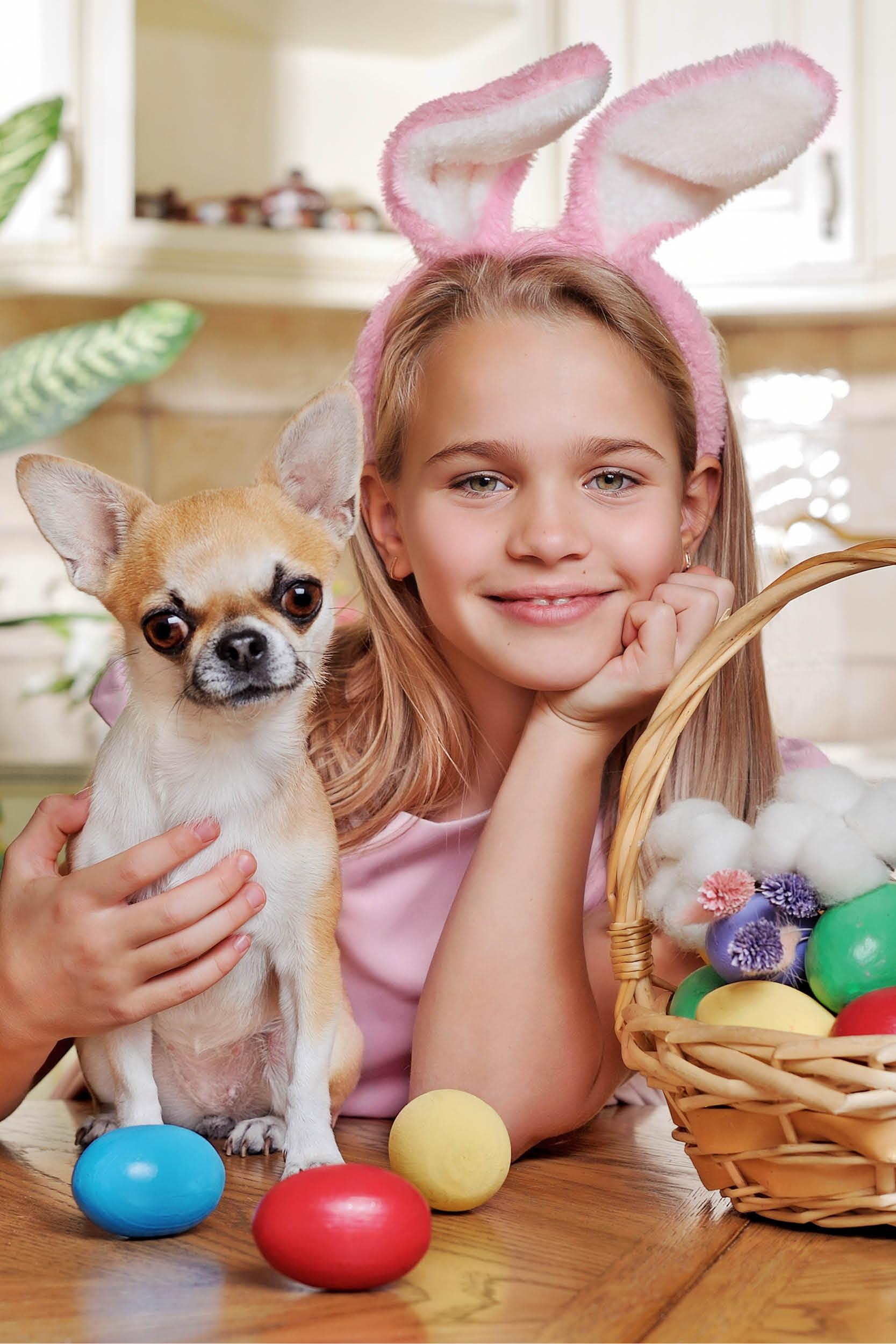 Fiesta de Pascua para perros