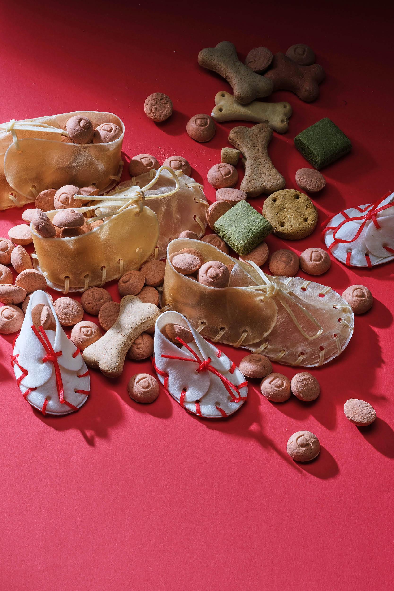 Regalos de San Nicolás para tu perro Regalos de San Nicolás para tu perro