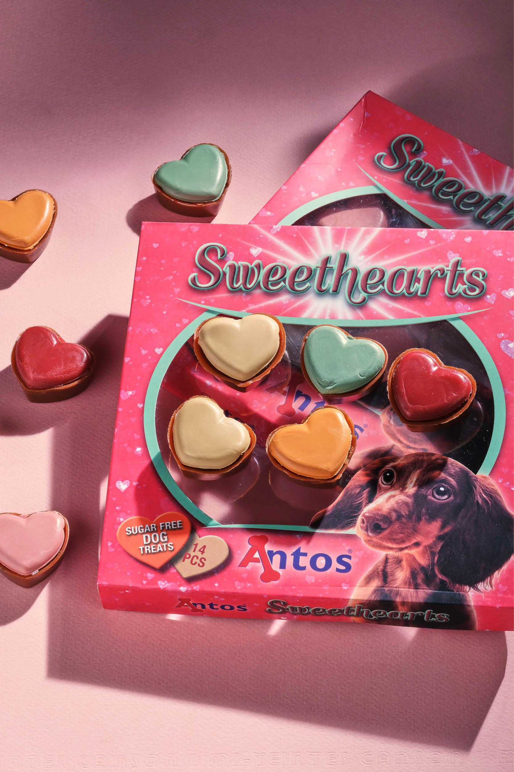 Día de San Valentín para perros Día de San Valentín para perros