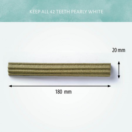 Cerea Sea Eurostar Algas Medium 18 cm