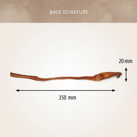 Nervio de Ternera 35 cm